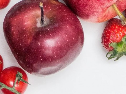 Kuersetin ile Tanışalım