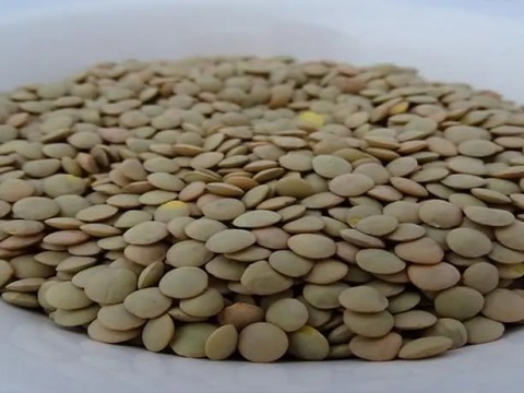 YEŞİL MERCİKMEKLİ OMEGA-MİX SALATA (1 porsiyon)