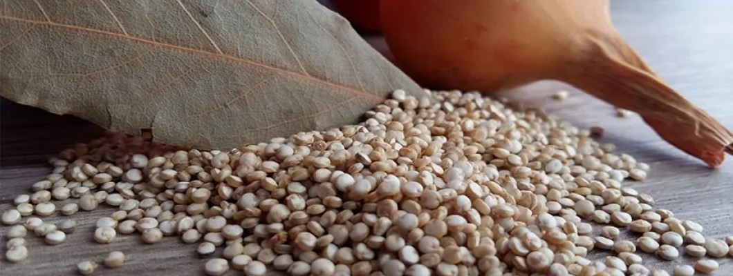 HUMUSLU KİNOALI SALATA (1 porsiyon )