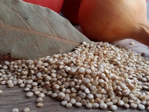 HUMUSLU KİNOALI SALATA (1 porsiyon )