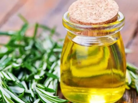 Yüksek Antioksidan Değerlerine Sahip: Biberiye