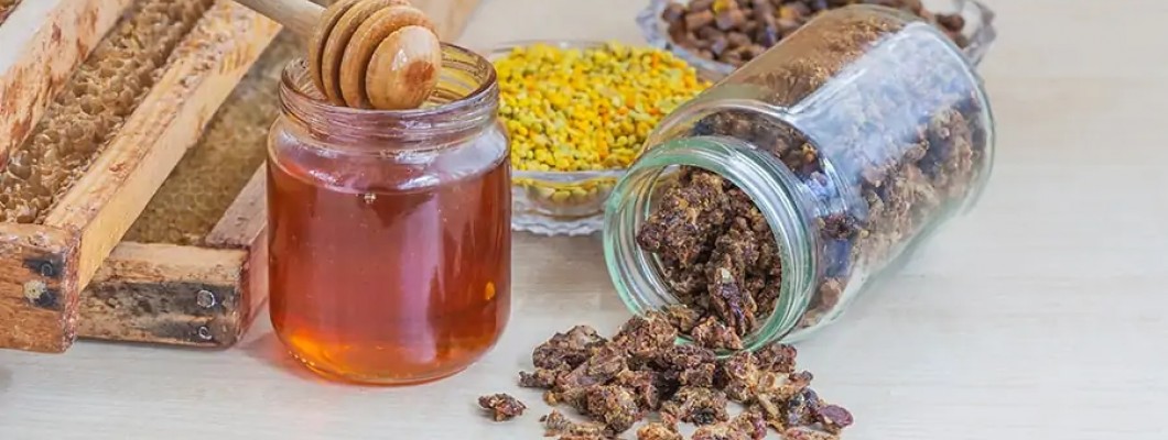 Mikroplara Karşı Savunmada Propolisin Etkileri
