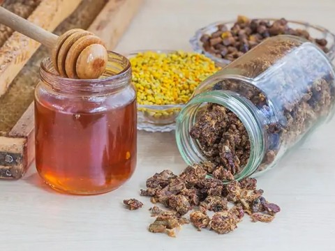 Mikroplara Karşı Savunmada Propolisin Etkileri