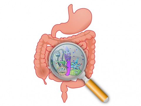 Sızıntılı Bağırsak Sendromu Belirtileri ve Korunma Yöntemleri