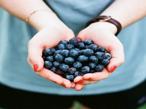 Son günlerde en çok duyduğumuz beslenme tarzları: Vejeteryan / Vegan