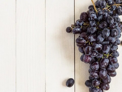 RESVERATROL ’ÜN HAYATIMIZDAKİ ÖNEMİ