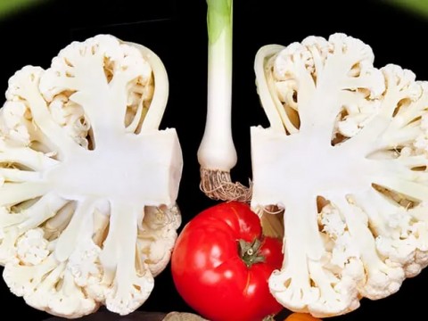 DİYET ve AKCİĞER SAĞLIĞI