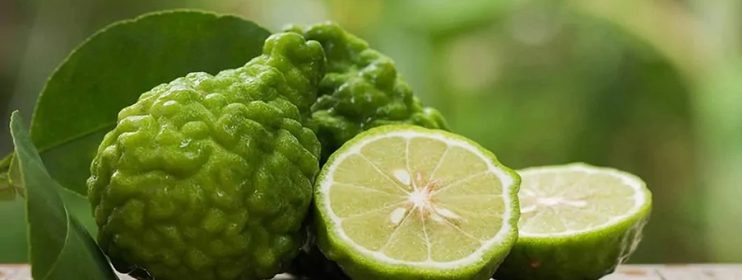Kolesterolün Düşürülmesinde BERGAMOT