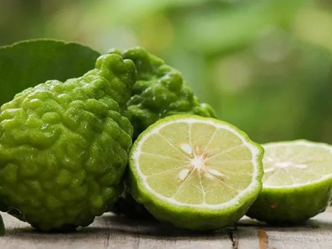 Kolesterolün Düşürülmesinde BERGAMOT
