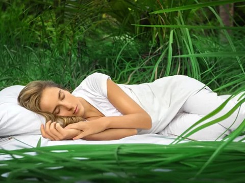 Beyninizi, Kalbinizi ve Cildinizi Gençleştirin: Uyku Vücudumuzu Nasıl Tamir Eder?