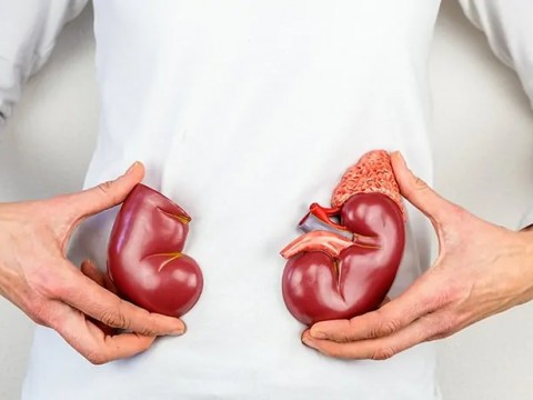 BÖBREK HASTALIKLARI