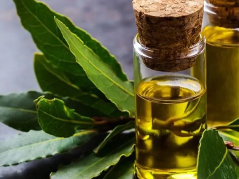 DİYET ve AKCİĞER SAĞLIĞI