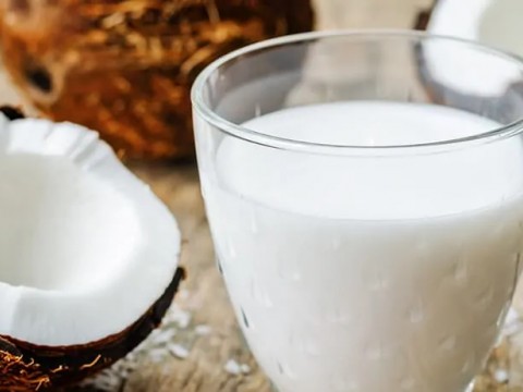 Hindistancevizi Sütü Hakkında Bilmeniz Gerekenler