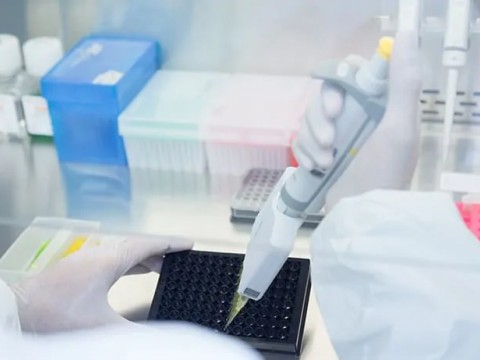 Kanser Çalışmaları ve Doğal Yaklaşımlar