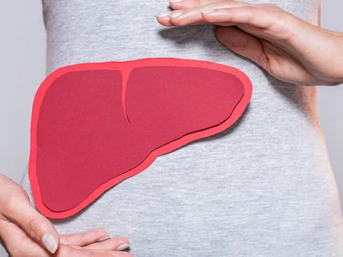 KARACİĞER: Vücudumuzun Fabrikası