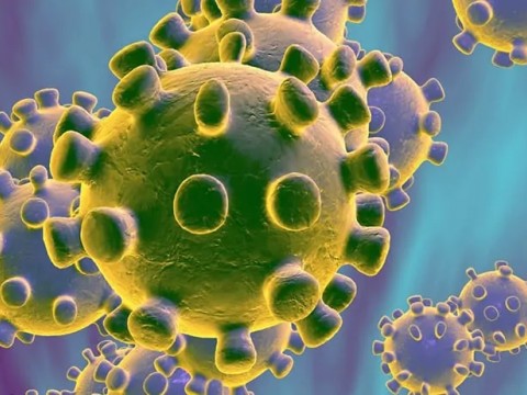 Vuhan Koronavirüsü Nedir?