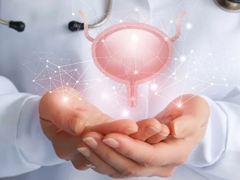 Beslenme – Mesane Sağlığı İlişkisi Hakkında Bilinmeyenler