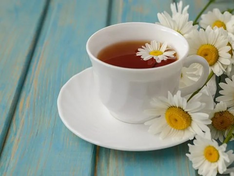 Bağışıklık Sistemini Destekleyen ve Sakinleştiren : PAPATYA ÇAYI