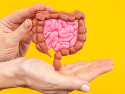 Sindirim Sistemi Sağlığı Hakkında Merak Edilenler