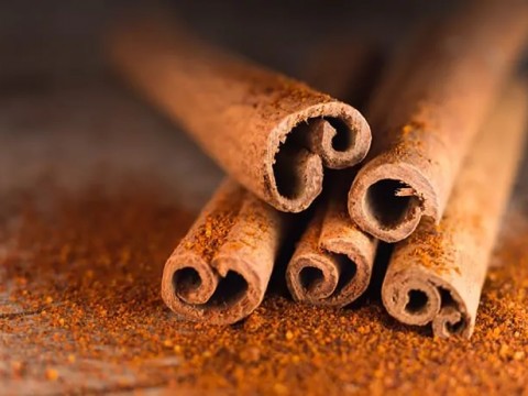 Bir Ağaç Kabuğu: TARÇIN