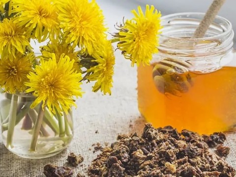 Gıdanın Endüstriyelleşmesi İnsanları Nasıl Etkiledi?